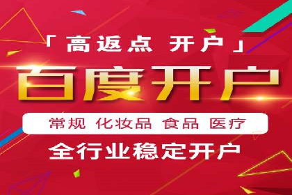百度竞价广告投放策略：案例分析及效果评估