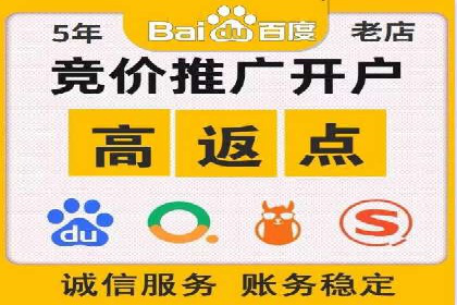 百度竞价公司案例分析：优化策略全解析